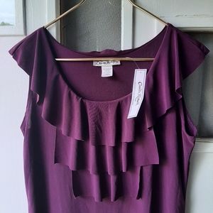 NWT Claudia Richard top size large